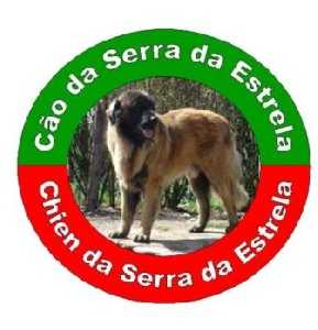 Vascko (Sans Affixe)